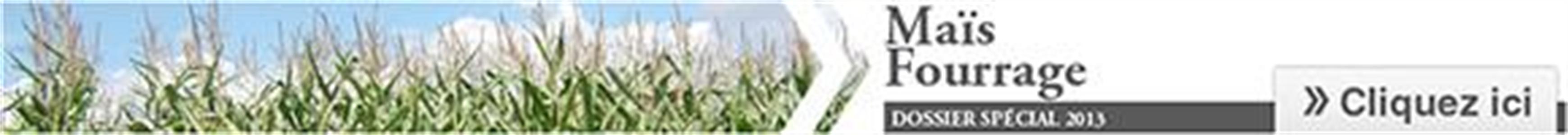 Cliquez sur l'image pour accéder au Dossier Spécial Maïs fourrage