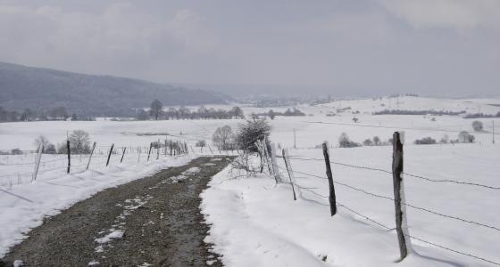 Campagne sous la neige
