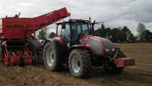 Alors que toutes les surfaces en pommes de terre ne sont pas récoltées, la production se situe en retrait de 14,4 % par rapport à l'année dernière.