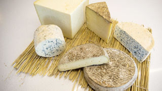 Les AOP fromagères se sont réunies à Aurillac (Cantal) pour un 2e colloque sur les fromages au lait cru, où un état des lieux des recherches pour lutter contre les germes pathogènes a été dressé. Les AOP fromagères se sont réunies à Aurillac (Cantal) pour un 2e colloque sur les fromages au lait cru, où un état des lieux des recherches pour lutter contre les germes pathogènes a été dressé.