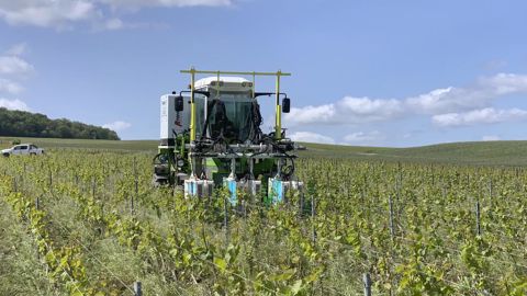 Le flashage par UVC de la vigne se révèle efficace pour limiter le développement de certaines maladies. Des travaux montrent aussi un intérêt face au risque de gel et à la sécheresse. Le flashage par UVC de la vigne se révèle efficace pour limiter le développement de certaines maladies. Des travaux montrent aussi un intérêt face au risque de gel et à la sécheresse.