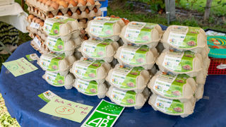 La vente à la ferme et sur les marchés reste majoritaire en agriculture biologique. La vente à la ferme et sur les marchés reste majoritaire en agriculture biologique.