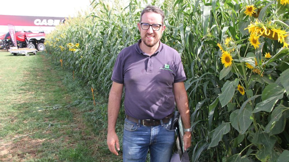 « L’acheteur doit s’intéresser à la polyvalence du matériel et aux accessoires proposés », souligne Julien Hérault, conseiller en machinisme indépendant.