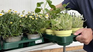 Le modèle de plaque réutilisable choisi par la coopérative internationale Euro Plant Tray a été sélectionné et sera produit à quatre millions d’exemplaires dès 2024. Le modèle de plaque réutilisable choisi par la coopérative internationale Euro Plant Tray a été sélectionné et sera produit à quatre millions d’exemplaires dès 2024.