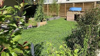 Un marché du jardin tendu mais offrant de bonnes perspectives