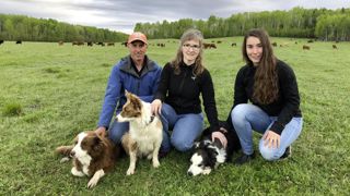 Le troupeau de la ferme Noël-Fontaine a dû être déplacé, menacé par les incendies.