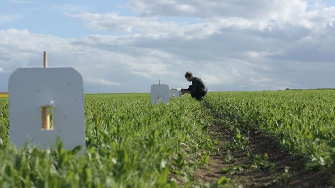 Les solutions de piégeage développées par Agriodor contre les bruches de la lentille et de la féverole, Lentodor et Fabaodor, seront distribuées par Andermatt dès la campagne prochaine.