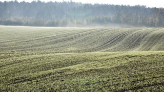 En France, environ 10 % des superficies prévues en blé tendre restent non ensemencées, selon les estimations de la Commission européenne. En France, environ 10 % des superficies prévues en blé tendre restent non ensemencées, selon les estimations de la Commission européenne.