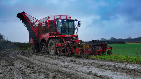 Les chantiers d’arrachage peinent à se terminer dans le nord de la France Les chantiers d’arrachage peinent à se terminer dans le nord de la France
