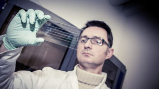 Une plaquette utilisée dans les robots de sequençage dans la plateforme de metagénomique quantitative de l'Inrae à Jouy-en-Josas. Une plaquette utilisée dans les robots de sequençage dans la plateforme de metagénomique quantitative de l'Inrae à Jouy-en-Josas.