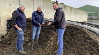 Innovation. Face au réchauffement climatique, Jonathan et Dimitri Lenourichel (à gauche) cherchent des alternatives fourragères innovantes. Ils ont répondu présents à la suggestion de la Coopérative de Creully de tester la silphie perfoliée. Olivier Véron, son nutritionniste, les accompagne. Innovation. Face au réchauffement climatique, Jonathan et Dimitri Lenourichel (à gauche) cherchent des alternatives fourragères innovantes. Ils ont répondu présents à la suggestion de la Coopérative de Creully de tester la silphie perfoliée. Olivier Véron, son nutritionniste, les accompagne.