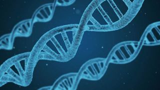 L'Anses a publié le 21 décembre 2023 une expertise scientifique sur la proposition de la Commission européenne relative aux nouvelles techniques de sélection génomique.