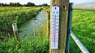 2023 a été l'année la plus chaude après 2022, avec des températures supérieures aux normales de saison onze mois sur douze. 2023 a été l'année la plus chaude après 2022, avec des températures supérieures aux normales de saison onze mois sur douze.