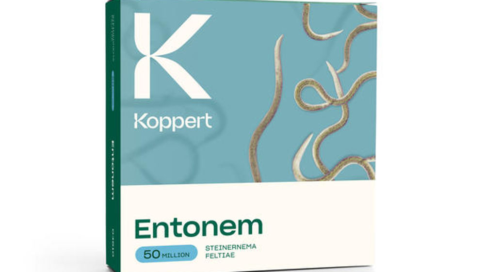 Koppert a développé la solution Entonem, à base du nématode auxiliaire Steinernema feltiae, pour lutter contre les chenilles processionnaires du pin et du chêne.