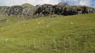 Près de 90 communes situées en Auvergne-Rhône-Alpes et Provence-Alpes-Côte d'Azur sont classées en cercle 0 pour l'année 2024. Près de 90 communes situées en Auvergne-Rhône-Alpes et Provence-Alpes-Côte d'Azur sont classées en cercle 0 pour l'année 2024.