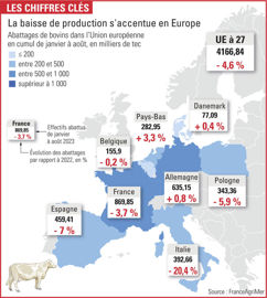 évolution des abattages de bovins en Europe