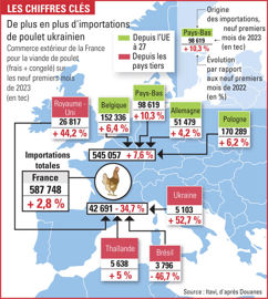 importations de viande de poulet ukrainien en Europe