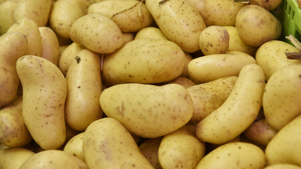 La production française de pommes de terre de conservation progresse nettement en 2023, sur un an comme par rapport à sa moyenne quinquennale.