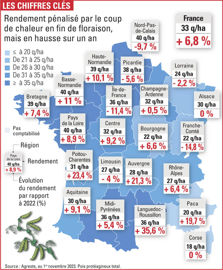 rendement du pois en France en 2023 rendement du pois en France en 2023