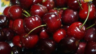 En 2023, les cours de cerises étaient supérieurs de 33 % à la moyenne quinquennale.