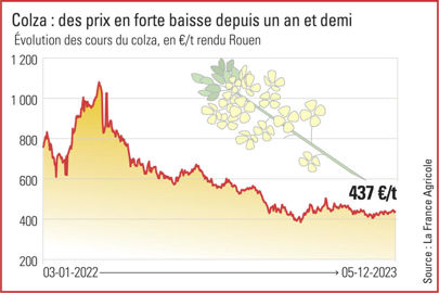 évolution des cours du colza rendu Rouen en 2023 évolution des cours du colza rendu Rouen en 2023