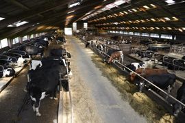 En 2023, la production européenne d’aliments composés a chuté de près de 2,4 millions de tonnes par rapport à 2022, selon la Fédération européenne des fabricants d’aliments composés (Fefac). En 2023, la production européenne d’aliments composés a chuté de près de 2,4 millions de tonnes par rapport à 2022, selon la Fédération européenne des fabricants d’aliments composés (Fefac).