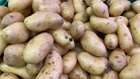 Selon le CNIPT, les stocks de pommes de terre se sont vidés plus rapidement que d'habitude en 2022-2023, ce qui a notamment généré une tension sur les prix.