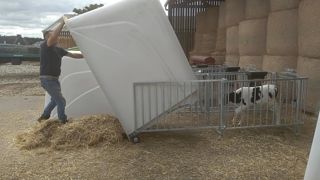 Lors du curage, les veaux sont bloqués à l’avant de la courette pour basculer la niche dans la partie inoccupée. Lors du curage, les veaux sont bloqués à l’avant de la courette pour basculer la niche dans la partie inoccupée.