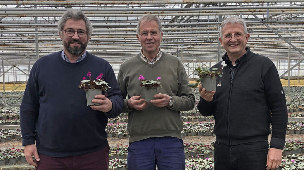 Eric Beaude, CEO de Morel, Aad Koen, directeur de Koen, et Guy Schertzer, directeur adjoint et responsable des ventes chez Morel, ont signé le rachat des sélections de cyclamens botaniques du néerlandais Koen. Eric Beaude, CEO de Morel, Aad Koen, directeur de Koen, et Guy Schertzer, directeur adjoint et responsable des ventes chez Morel, ont signé le rachat des sélections de cyclamens botaniques du néerlandais Koen.