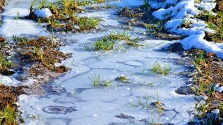 Une nouvelle semaine de froid s'annonce en France, avec des fortes gelées, selon Meteo News. Une nouvelle semaine de froid s'annonce en France, avec des fortes gelées, selon Meteo News.