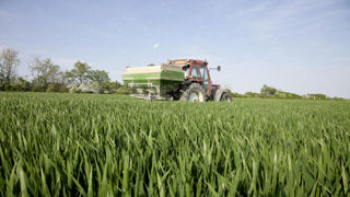 Par exemple, pour une variété de blé tendre ayant un coefficient bq de 3,2 et un bc de 0,2, c’est-à-dire un besoin complémentaire de l’ordre de 20 kg d'azote à l'hectare, un report d’azote vers la fin de la montaison, qui serait habituellement de 40 kg d'azote à l'hectare, doit passer à 60 kg d'azote à l'hectare. Par exemple, pour une variété de blé tendre ayant un coefficient bq de 3,2 et un bc de 0,2, c’est-à-dire un besoin complémentaire de l’ordre de 20 kg d'azote à l'hectare, un report d’azote vers la fin de la montaison, qui serait habituellement de 40 kg d'azote à l'hectare, doit passer à 60 kg d'azote à l'hectare.