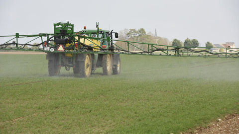 Générations Futures estime qu'il est urgent que le gouvernement renforce les textes en vigueur pour augmenter largement les zones non traitées actuelles avec des phytos  de 5 à 10 mètres, et qui « apparaissent totalement inefficaces ».