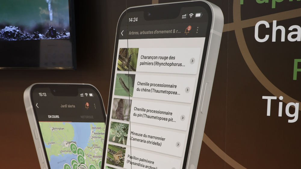 L'application sur smartphone permet de recevoir dans sa région des points de vigilance concernant huit organismes nuisibles réglementés.