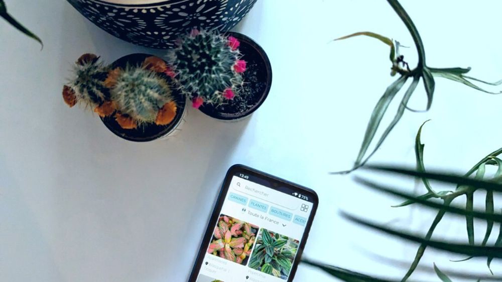 La nouvelle appli Meet for Branch vise à mettre en relation une communauté de passionnés, voir de pros de végétaux, afin de favoriser l’échange ou le don de plantes.