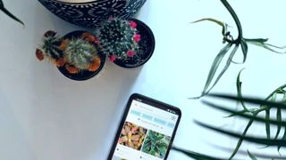 La nouvelle appli Meet for Branch vise à mettre en relation une communauté de passionnés, voir de pros de végétaux, afin de favoriser l’échange ou le don de plantes. La nouvelle appli Meet for Branch vise à mettre en relation une communauté de passionnés, voir de pros de végétaux, afin de favoriser l’échange ou le don de plantes.