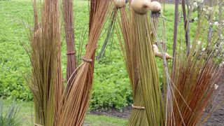 L’osier peut servir à fabriquer des tuteurs, des tipis, ou des palissages pour les légumes et les plantes grimpantes, au jardin ou au potager. L’osier peut servir à fabriquer des tuteurs, des tipis, ou des palissages pour les légumes et les plantes grimpantes, au jardin ou au potager.