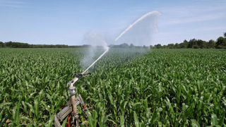 L'accès à l'eau est l'une des thématiques sur laquelle l'AGPM aimerait que la règlementation évolue.
