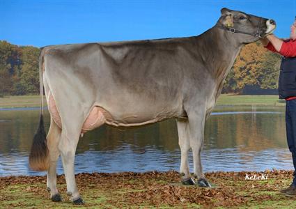 PAOLA (BIG BOY-ET x PRUNKI) à Telli Hans-Jakob, 7016 Trin Mulin