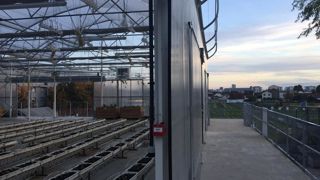 Les auteurs de l'étude rappellent qu'il manquait jusqu'à présent une évaluation complète de la performance environnementale de l’agriculture urbaine par rapport à l’agriculture conventionnelle.