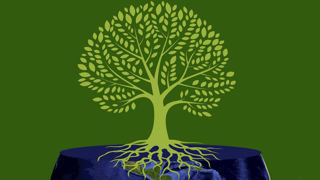 La plante et les sols seront au menu d’une journée technique « Reverdir notre avenir », à Bron (69) le 8 mars prochain. La plante et les sols seront au menu d’une journée technique « Reverdir notre avenir », à Bron (69) le 8 mars prochain.