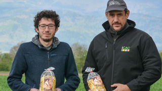 Jean-Michel Habig (à droite) et Joris Cuny, de la CAC, soulignent qu'en 2023 la production de blé dur a permis de répondre aux besoins du fabricants de pâtes alsaciennes, Valfleuri. Jean-Michel Habig (à droite) et Joris Cuny, de la CAC, soulignent qu'en 2023 la production de blé dur a permis de répondre aux besoins du fabricants de pâtes alsaciennes, Valfleuri.