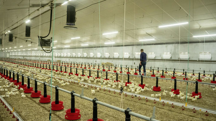 Unéal met en avant les intérêts économiques et agronomiques de la mise en place d’un atelier volaille sur une exploitation céréalière.