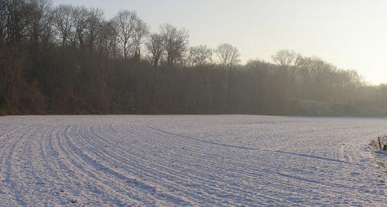 La neige, le verglas et le froid ont envahi la France depuis une semaine.