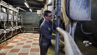 L'exonération des cotisations pour les salaires jusqu'à 1,25 fois le Smic maintiendrait les salaires bas, d'après les syndicats de salariés. (Photo : un salarié sur une exploitation agricole en Mayenne.) L'exonération des cotisations pour les salaires jusqu'à 1,25 fois le Smic maintiendrait les salaires bas, d'après les syndicats de salariés. (Photo : un salarié sur une exploitation agricole en Mayenne.)