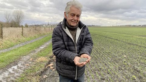 Vincent Brygo a implanté en avril 2023, 5 ha de lentilles vertes. Fixatrice d’azote, la culture va restituer 40 unités au blé suivant.