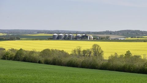 Les coopératives agricoles prennent en main les problèmes de transmission de foncier.