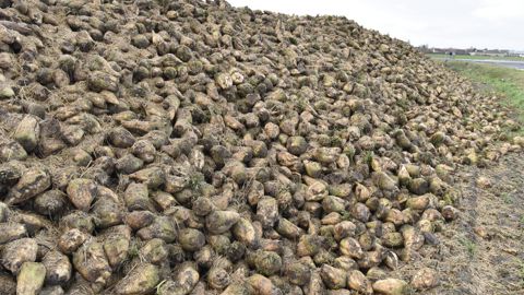 Cristal Union prend des parts dans une unité de production de biométhane de Total Energies, la deuxième plus importante du pays. Cristal Union prend des parts dans une unité de production de biométhane de Total Energies, la deuxième plus importante du pays.