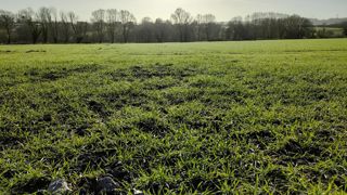 « En plus d’être défavorables aux cultures, les champs trop humides ne peuvent pas être travaillés et sont difficiles d’accès, ce qui entraîne des retards dans la fertilisation », rappelle la Commission européenne. « En plus d’être défavorables aux cultures, les champs trop humides ne peuvent pas être travaillés et sont difficiles d’accès, ce qui entraîne des retards dans la fertilisation », rappelle la Commission européenne.