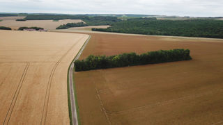 Le projet de loi d'orientation agricole a été complété de plusieurs article dont un qui prévoit de simplifier la réglementation sur les haies. Le projet de loi d'orientation agricole a été complété de plusieurs article dont un qui prévoit de simplifier la réglementation sur les haies.