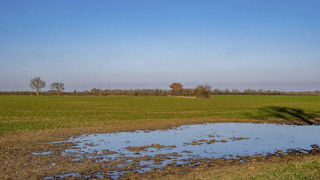 La Charente-Maritime connaît une alerte vigilance orange pour un risque de crues ce mardi 5 mars 2024. La Charente-Maritime connaît une alerte vigilance orange pour un risque de crues ce mardi 5 mars 2024.